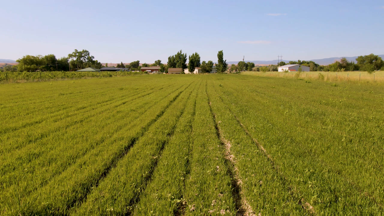 Wide Palisades, Colorado field view at the start of the clip, with green crop rows in the foreground, farm buildings and trees on the horizon, and no visible people.