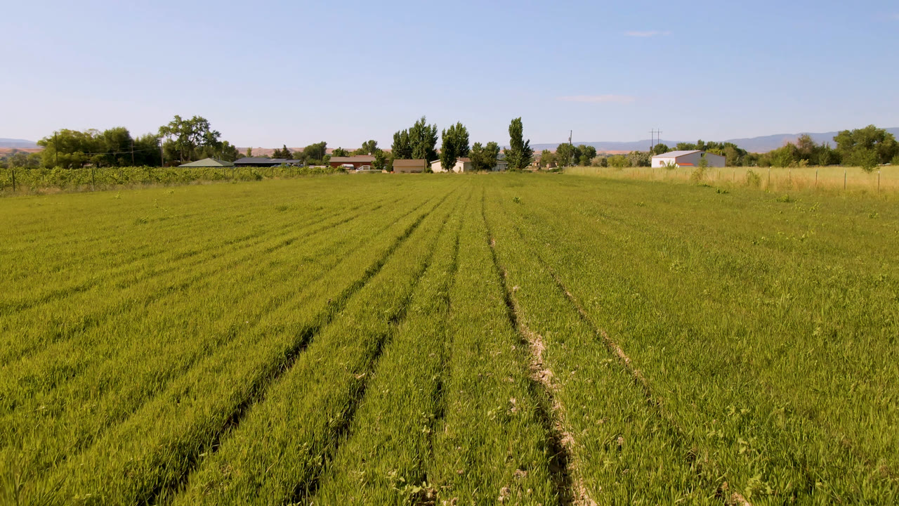 One second into the Palisades, Colorado clip, the field rows remain prominent with a low horizon of trees, fencing, rural buildings, and no visible people.