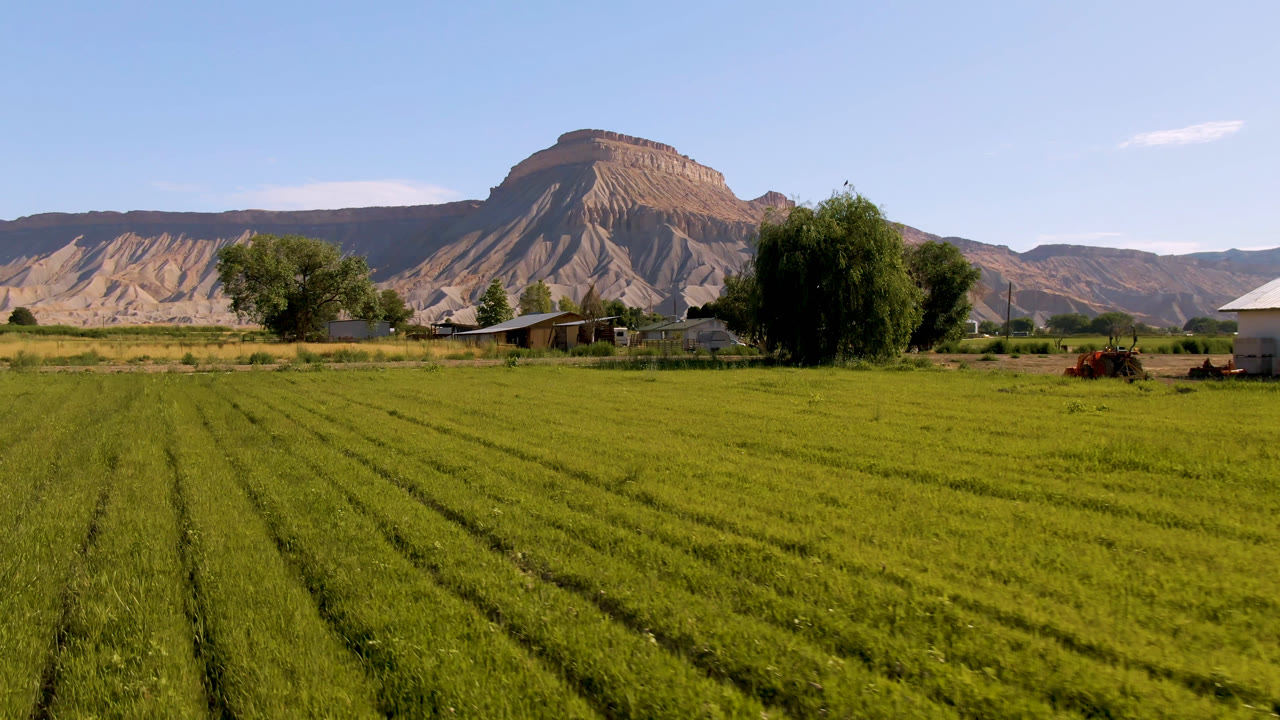 A broad Palisades, Colorado farm view shows green field rows, a white building, scattered trees, a small red tractor near the midground, distant mesas, and no clearly visible people.