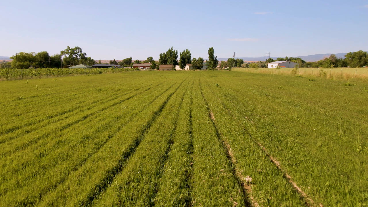 Wide view of green crop rows in Palisades, Colorado, with farm buildings, trees, distant hills, and no visible people at the start of the clip.
