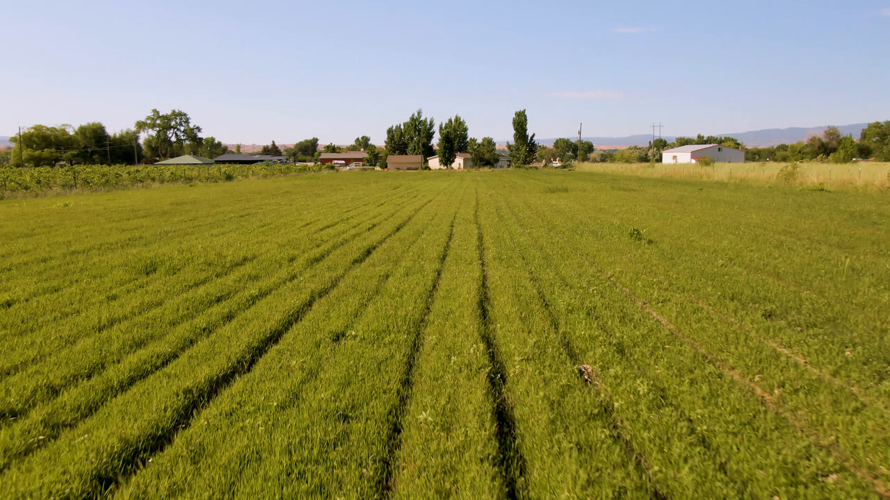 Green field rows leading toward trees and farm structures.