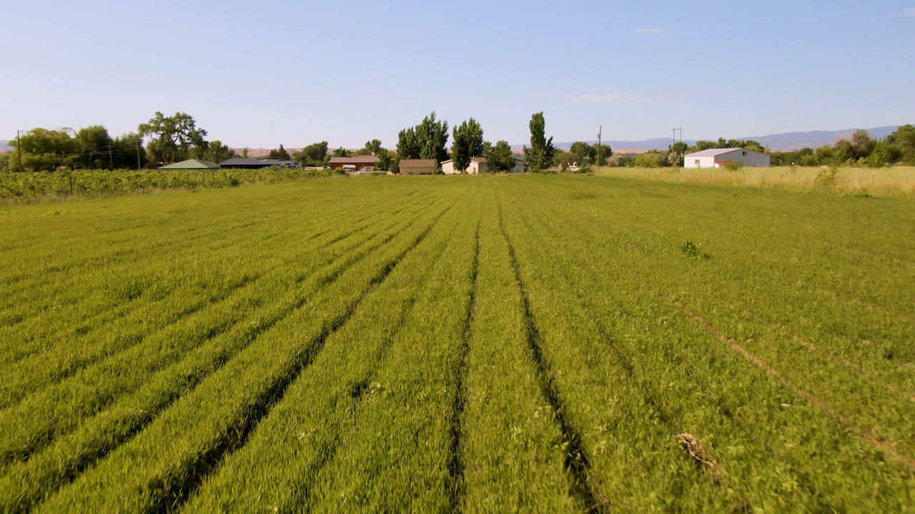 A wide Palisades, Colorado farmland view shows green crop lines across the foreground, distant trees and buildings near the horizon, and no visible people.
