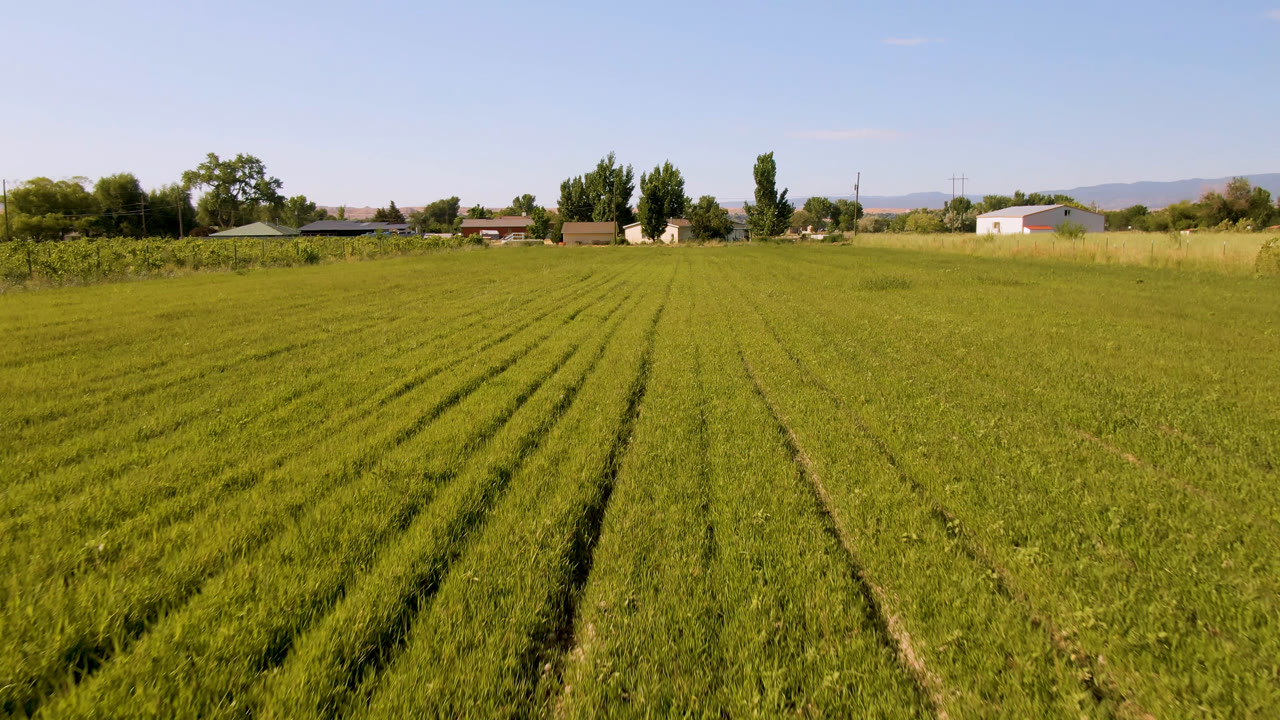 Second frame over the Palisades, Colorado field shows the crop rows shifting slightly in perspective toward a line of trees and low farm buildings, with no visible people.
