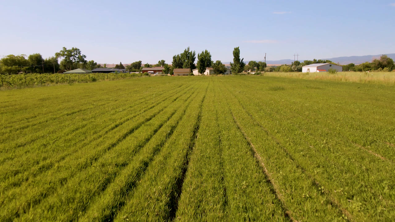 Third frame in Palisades, Colorado keeps a wide aerial composition over neat green rows, with background trees, small farm structures, distant hills, and no visible people.