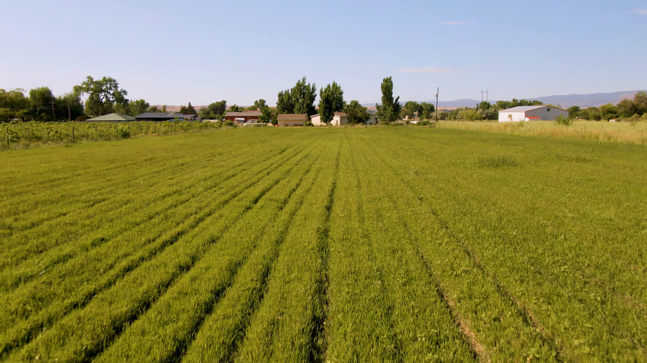 A wide Palisades, Colorado farm view shows green crop rows in the foreground, rural homes near the horizon, faint mountains, and no visible people.