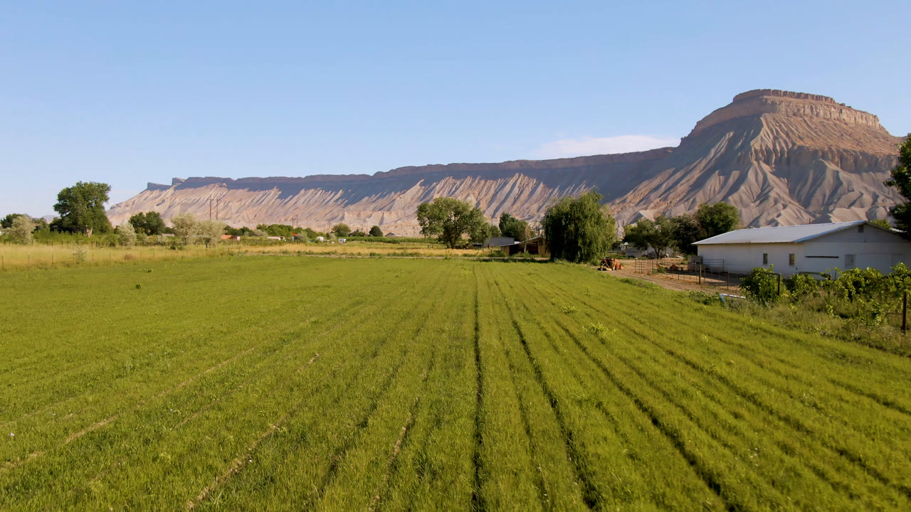 At 0:00, a wide Palisades, Colorado field view shows green rows leading toward a white house and tan mountain ridge, with no visible people.