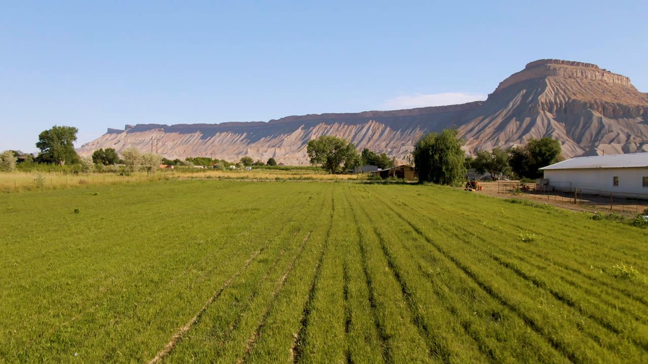 Wide daytime view in Palisades, Colorado, with green field rows in the foreground, a small light-colored house at right, trees at the field edge, tan mountains behind, and no visible people.