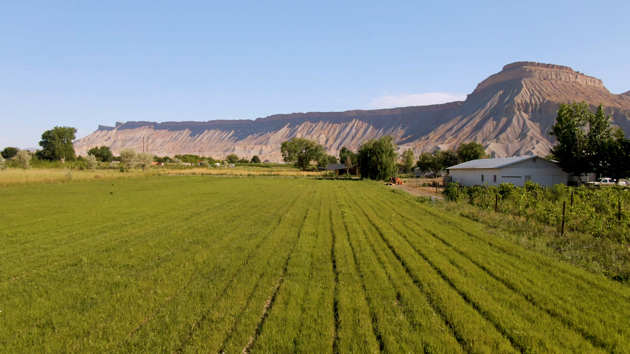 Wide Palisades, Colorado field view with green crop rows in the foreground, a white farm building near trees, tan mountains in the background, and no visible people.