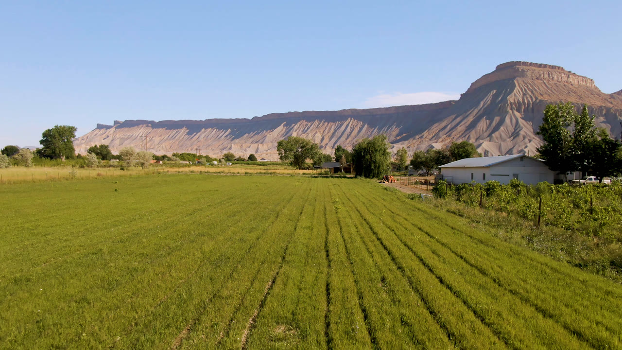 Palisades, Colorado farmland with parallel green rows across the foreground, scattered trees around a white building, distant tan cliffs, and no visible people.