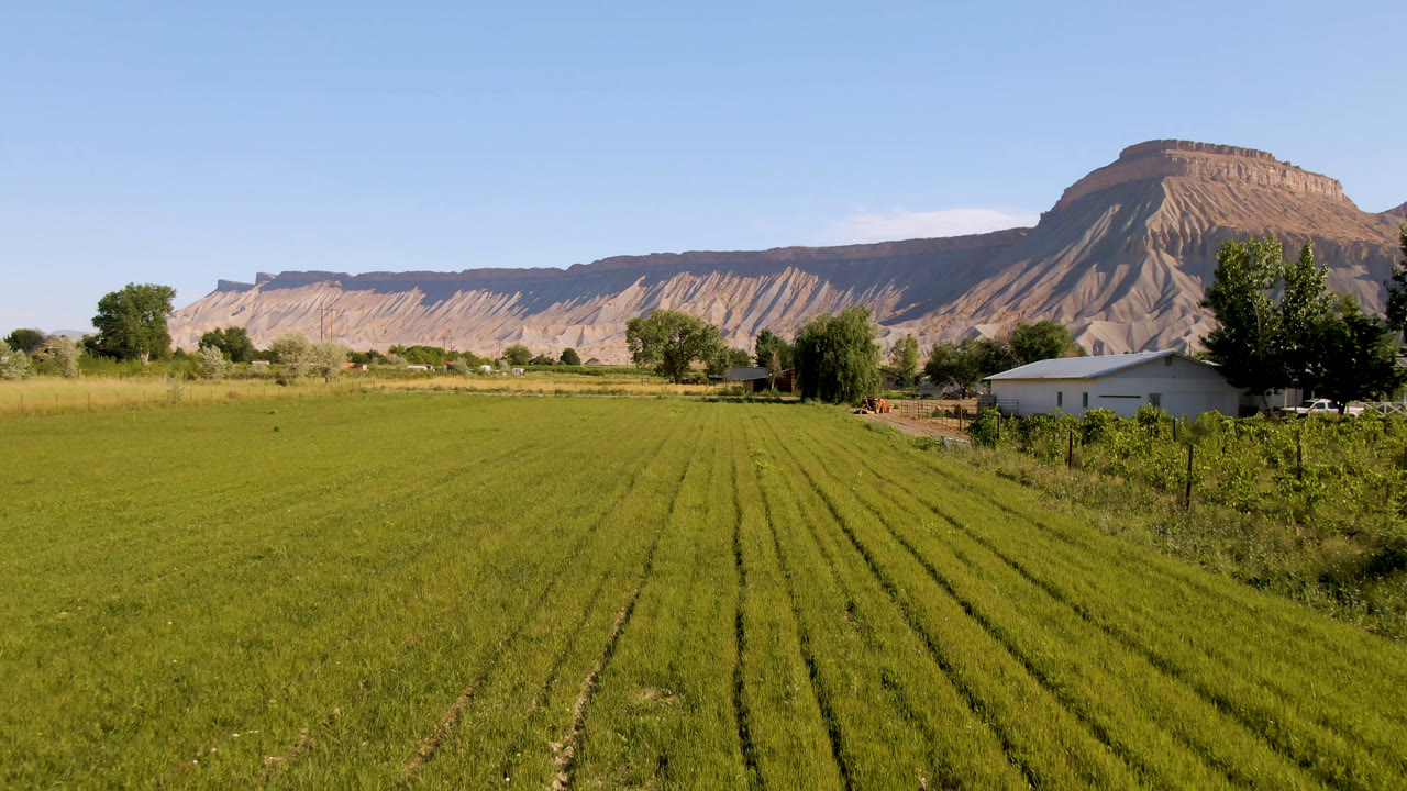 Wide view in Palisades, Colorado of an open green field, a white farm building partly framed by trees, a long tan mountain ridge, and no visible people.
