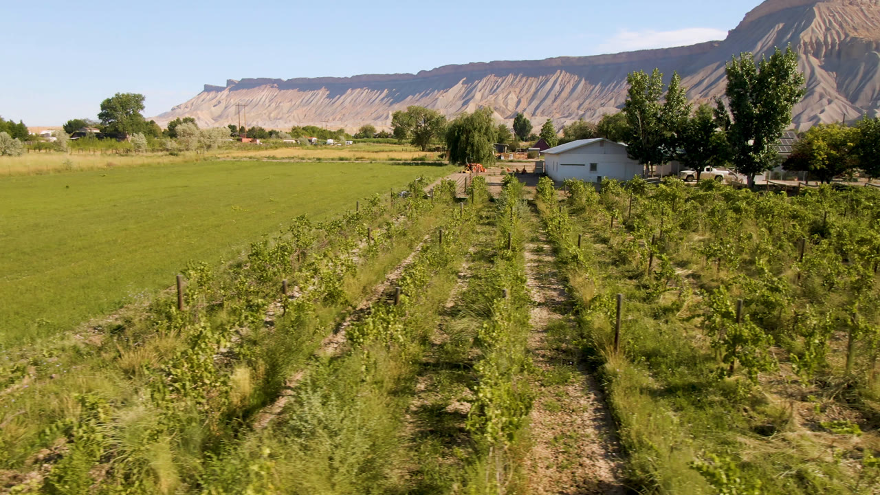 The Palisades farm view holds on crop rows and a central dirt lane, with a small building, clustered trees, distant structures, and the mountain slope filling the background.