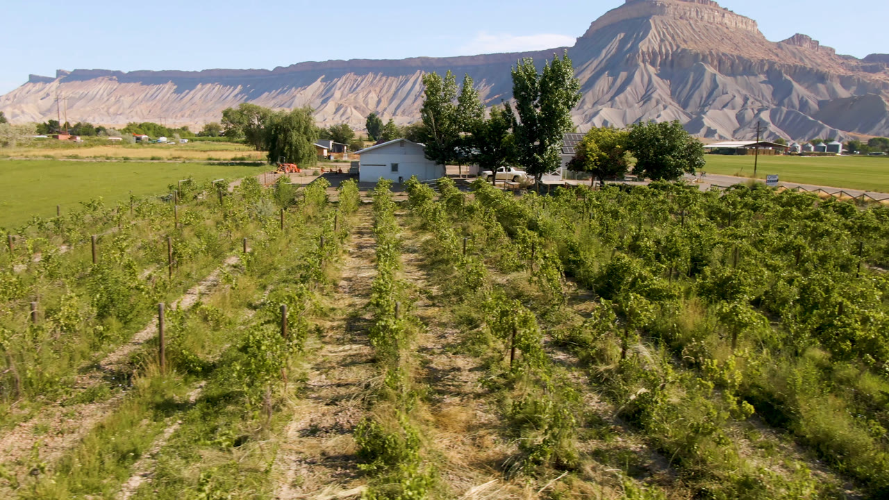 The Palisades farm scene shows low green plants in rows, open grassland to the left, a small house near trees, and layered mountains in clear daylight, with no visible people.