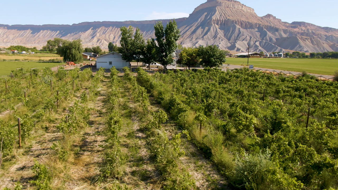 Field rows and trees with a small house below a broad mountain ridge.