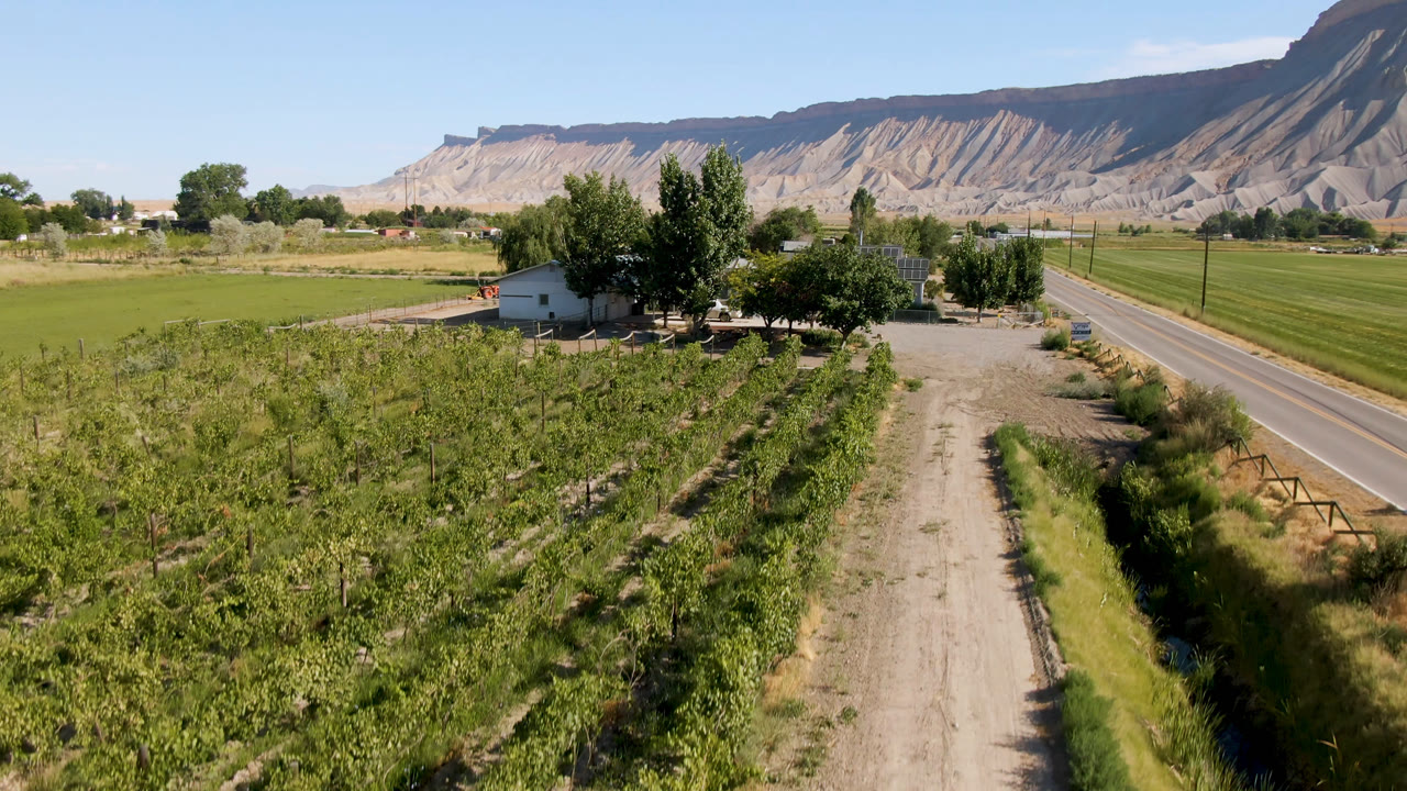 Aerial view of crop rows, dirt lane, paved road, farm buildings, trees, fields, and mountains.