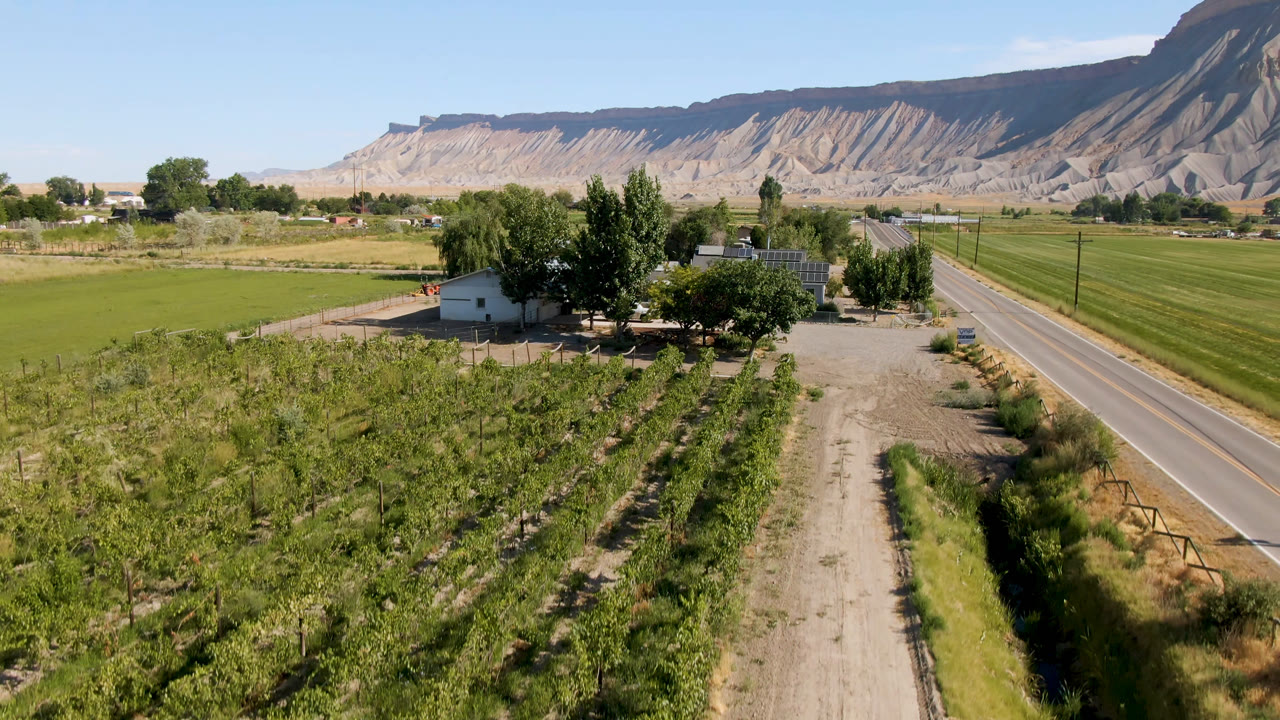 Drone wide frame in Palisades, Colorado with the dirt road more centered, planted rows at lower left, farm buildings among trees, a paved road to the right, distant fields, and no visible people.