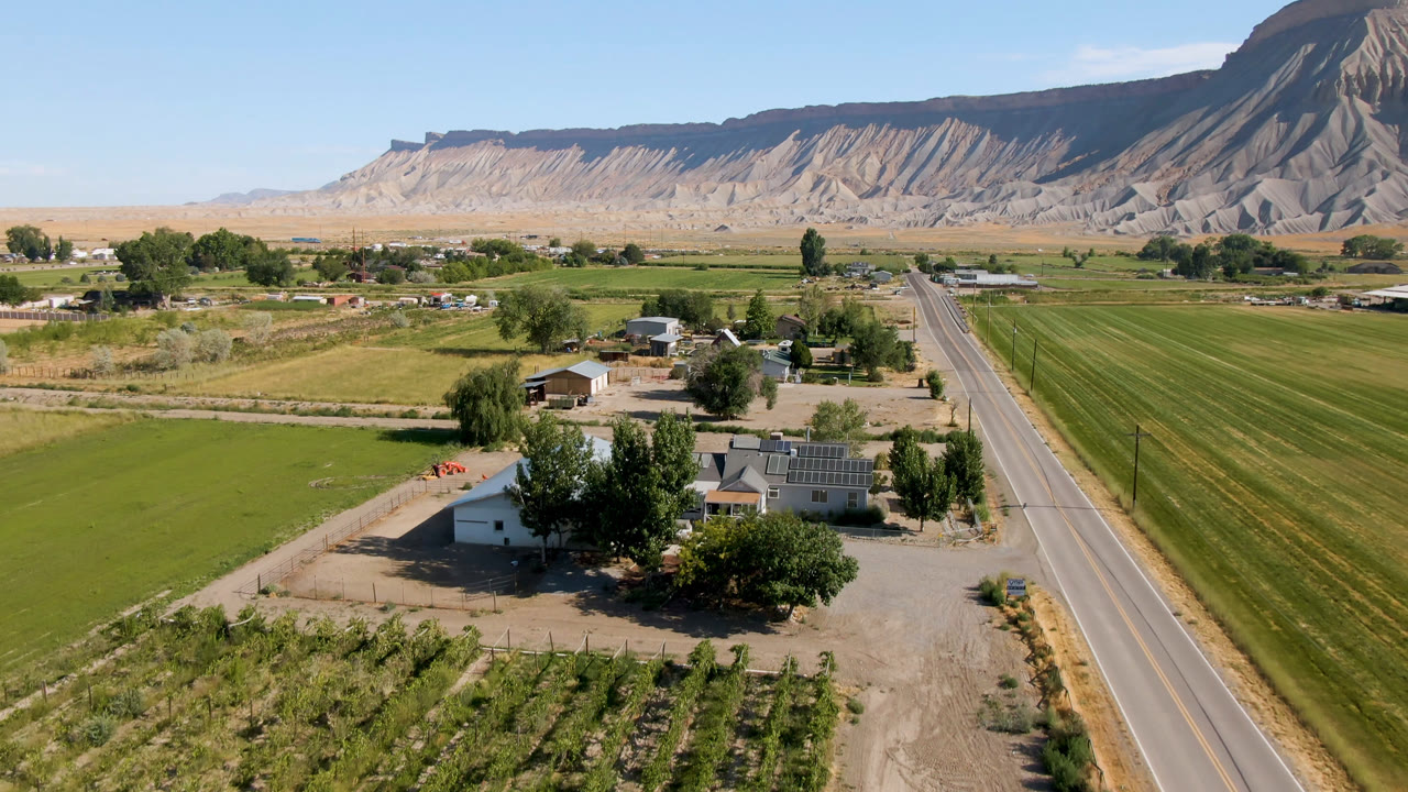 Aerial view in Palisades, Colorado showing green fields, a straight rural road, homes, trees, and a long mesa in clear daylight, with no visible people.