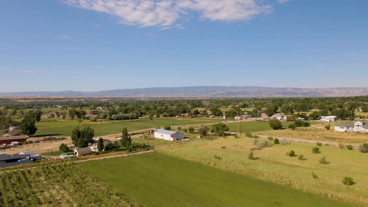 Aerial view of green fields, crop rows, houses, trees, and distant hills under blue sky.