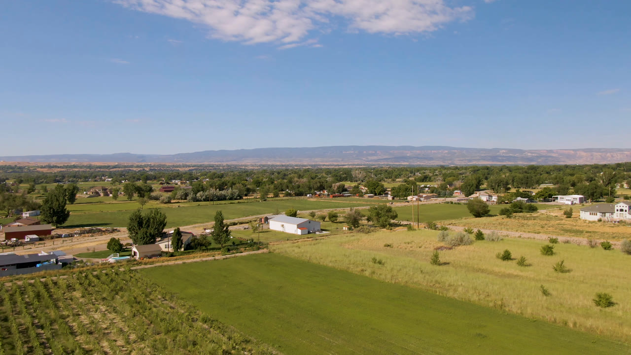 One second into the clip, the aerial view over Palisades, Colorado shows a broad green field beside ordered crop rows, with homes, barns, trees, distant hills, and no visible people.