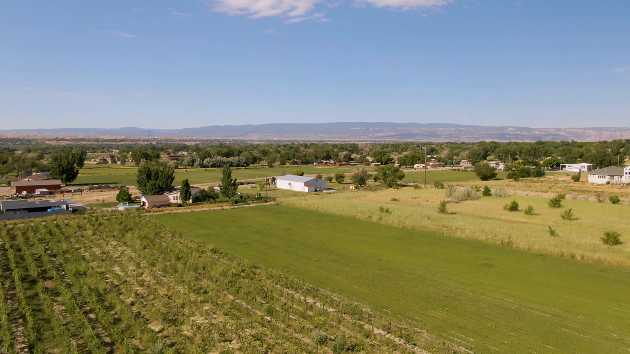 Wide elevated view of Palisades, Colorado farm fields with tree rows in the foreground, rural buildings across the middle distance, low mountains on the horizon, and no visible people.