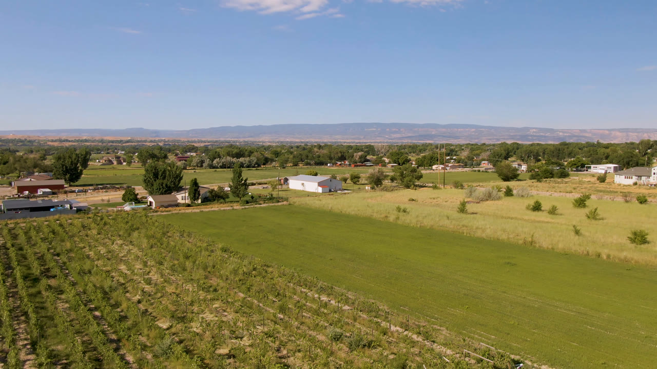 Wide Palisades, Colorado view with a broad green field, patterned tree plantings on the left, rural homes and farm buildings beyond, distant hills, and no visible people.