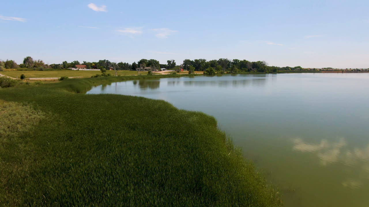 Wide lake view with grassy shore, trees, blue sky, and cloud reflections.