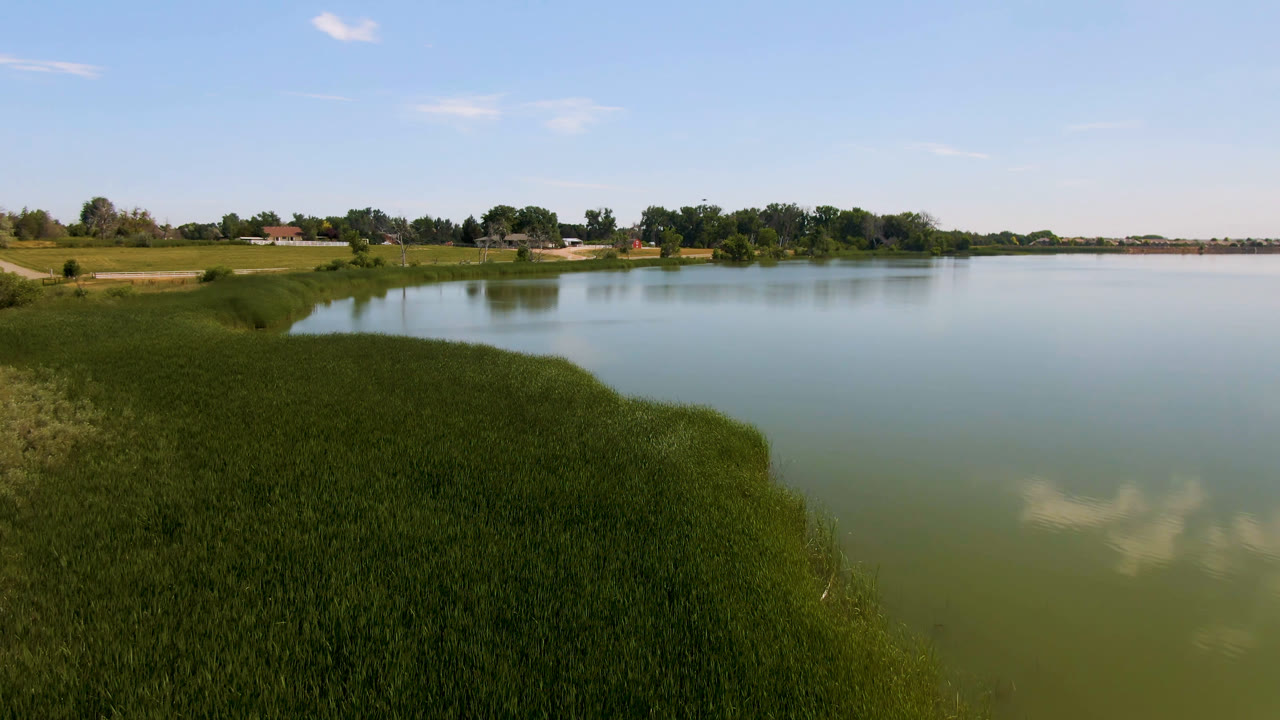 Wide lake bordered by thick green grass under a blue sky.