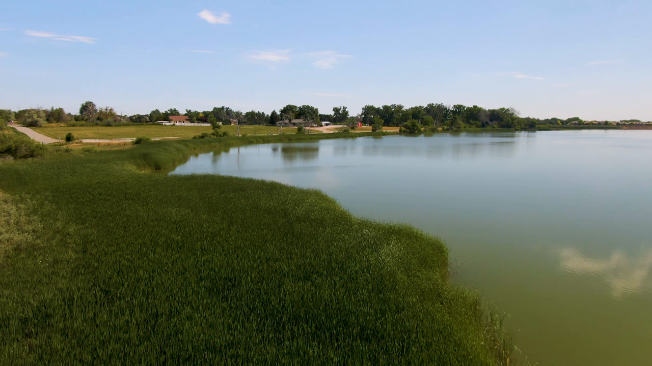 Wide lake view with grassy shoreline, trees, distant buildings, and blue sky.