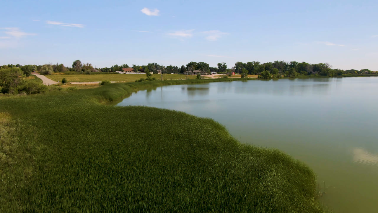 Grassy shoreline beside a broad lake under blue sky