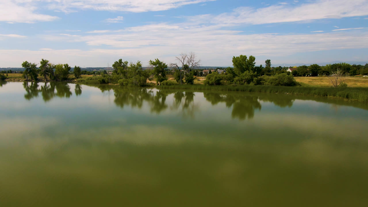 Wide lake with tree reflections, grassy shore, distant homes, and blue sky.