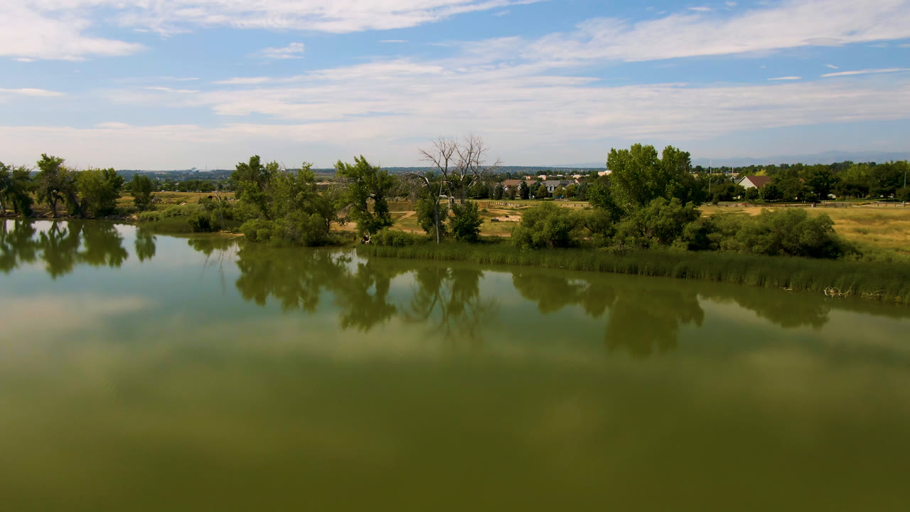 Aerial view over green pond water, trees, grass, and distant suburban buildings.
