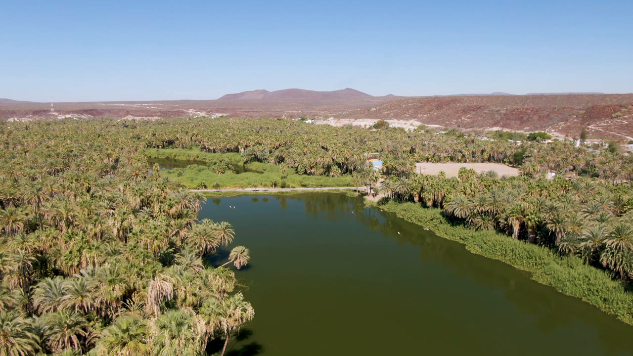 A second aerial moment in San Ignacio shows the palm-lined water shifted slightly through frame, with low desert hills on the horizon and no visible people.
