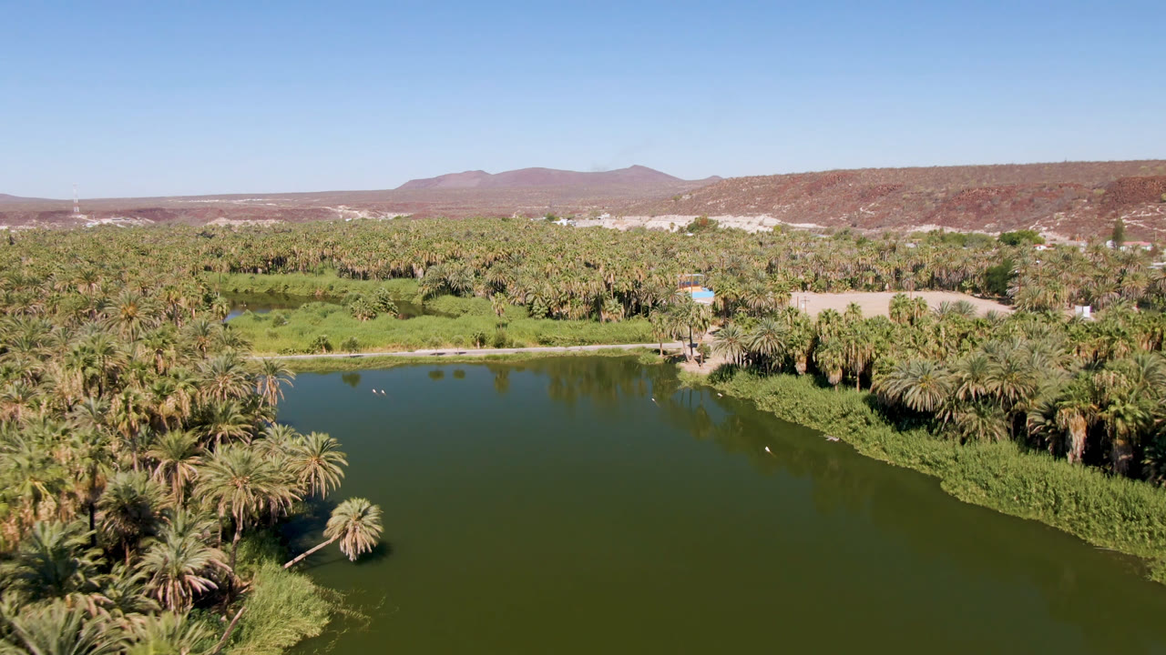 Aerial view over a green oasis waterway in San Ignacio, Baja California Sur, with palm trees along the shore, reddish hills beyond, and no visible people.