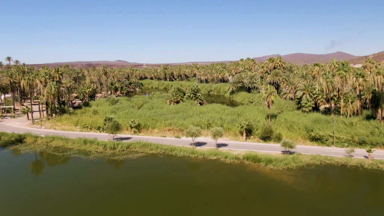 Wide aerial of a road between lake water and dense palm trees.