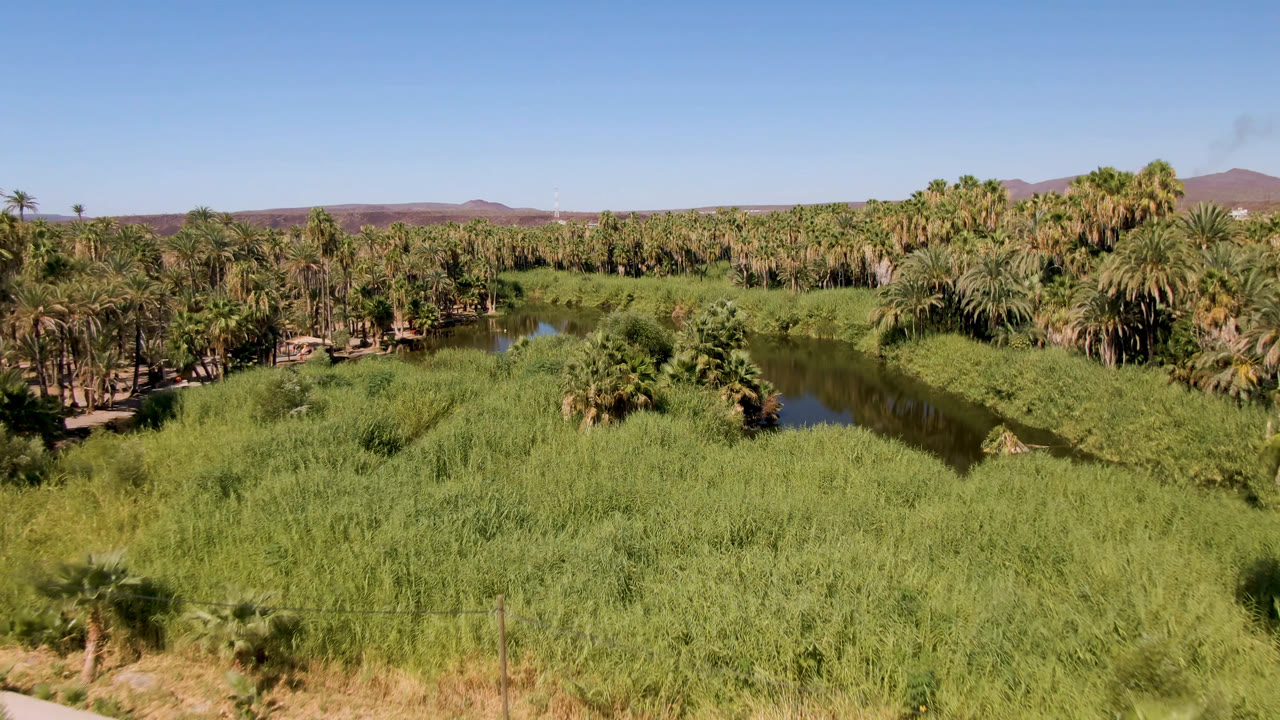 Second frame over San Ignacio shows thick green vegetation in front, a curving dark river between palm groves, low reddish hills on the horizon, clear blue sky, and no visible people.