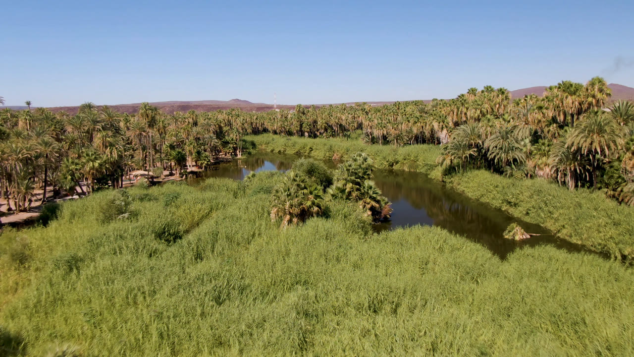 Aerial landscape with a narrow river, dense palms, grasses, and low mountains in bright sun.