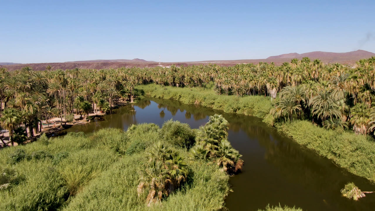 Opening aerial frame over San Ignacio, Baja California Sur, showing a dark river bend bordered by palms and reeds, dry hills in the distance, and no visible people.