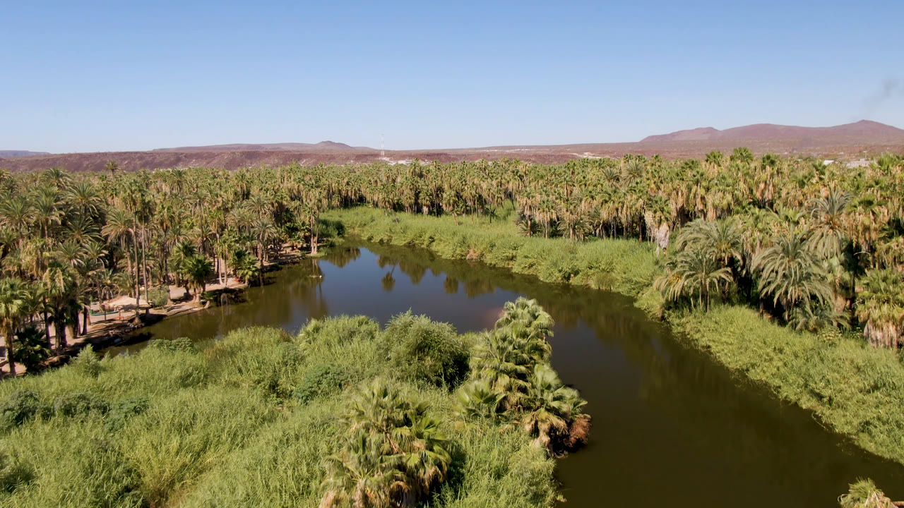 Second aerial frame in San Ignacio, Baja California Sur, with the river channel centered between thick palms, low desert mountains on the horizon, and no visible people.