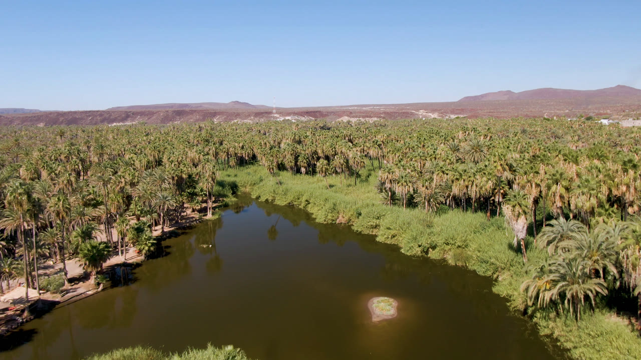 A second aerial moment in San Ignacio shows the dark river curving below dense palms, with reed beds along the water and brown hills under a clear blue sky, no visible people.