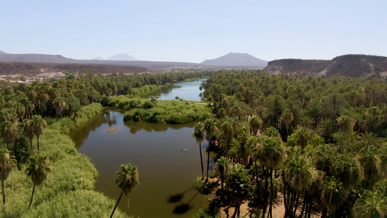 Second aerial frame in San Ignacio, Baja California Sur, with the river channel stretching behind dense palms, bright green reeds, brown hills, hazy mountains, and no visible people.