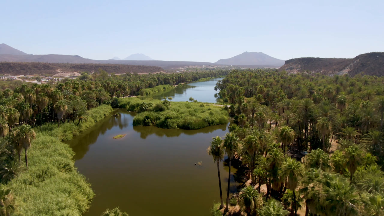 Aerial view of a palm-lined river with desert mesas and mountains beyond.