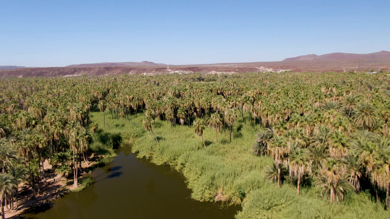 Wide aerial landscape of palms, river water, green vegetation, and distant dry mountains.