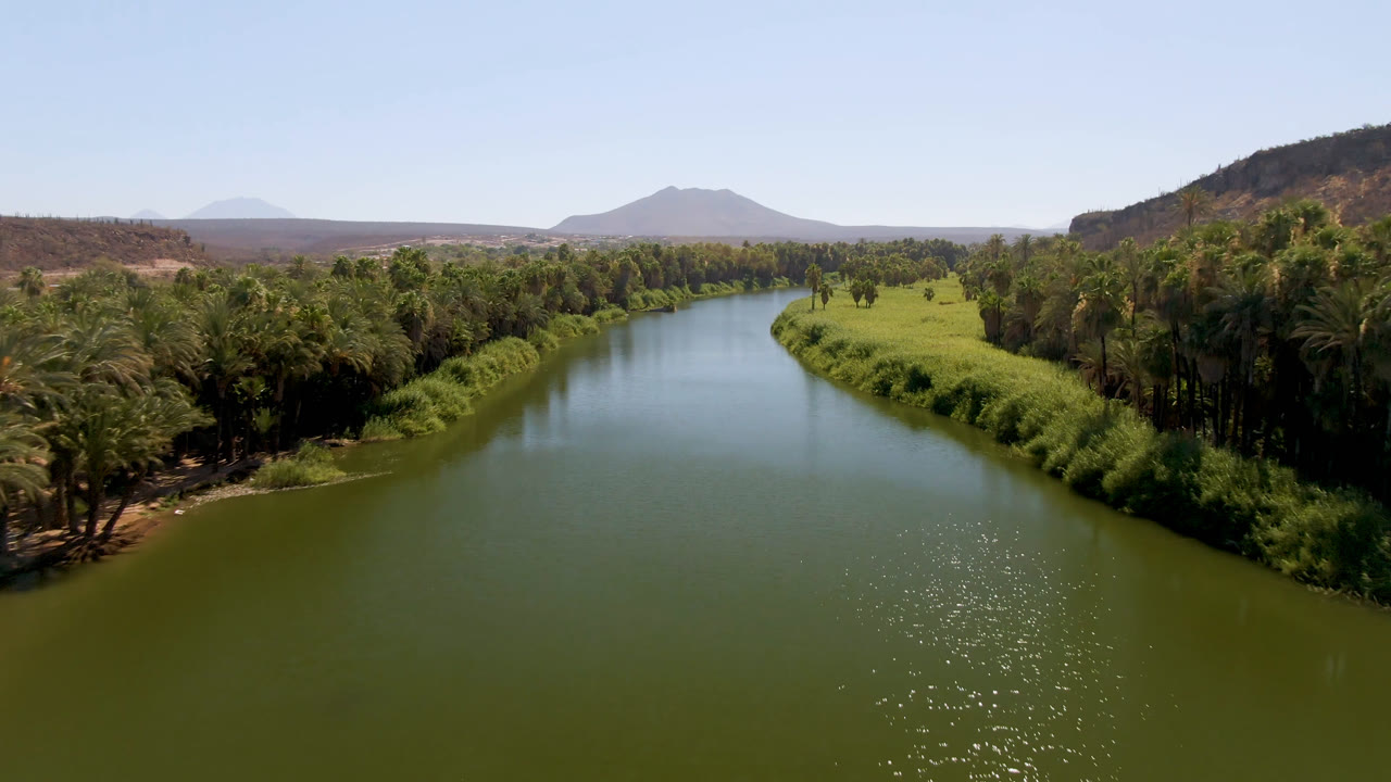 Wide aerial frame of a green river in San Ignacio, Baja California Sur, with palms on both banks, dry hills beyond, a rounded mountain on the horizon, and no visible people.