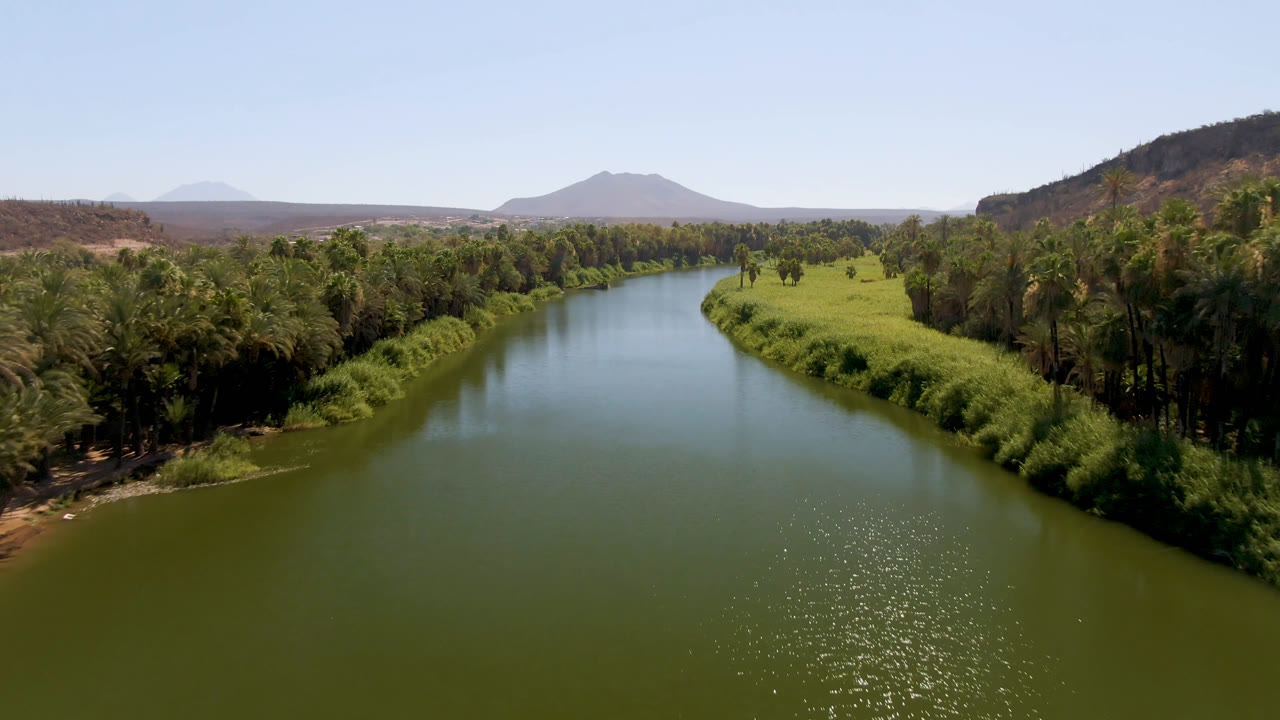 Aerial view over the green river at San Ignacio, Baja California Sur, showing denser palms to the right, bright grasses to the left, distant hills, and no visible people.
