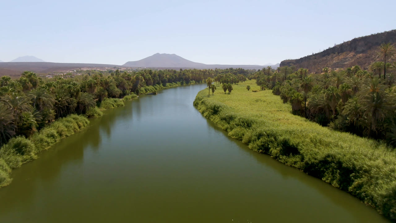 Aerial view in San Ignacio, Baja California Sur, Mexico, showing a green river bending between dense grasses and palm-like trees, with dry hills and no visible people.