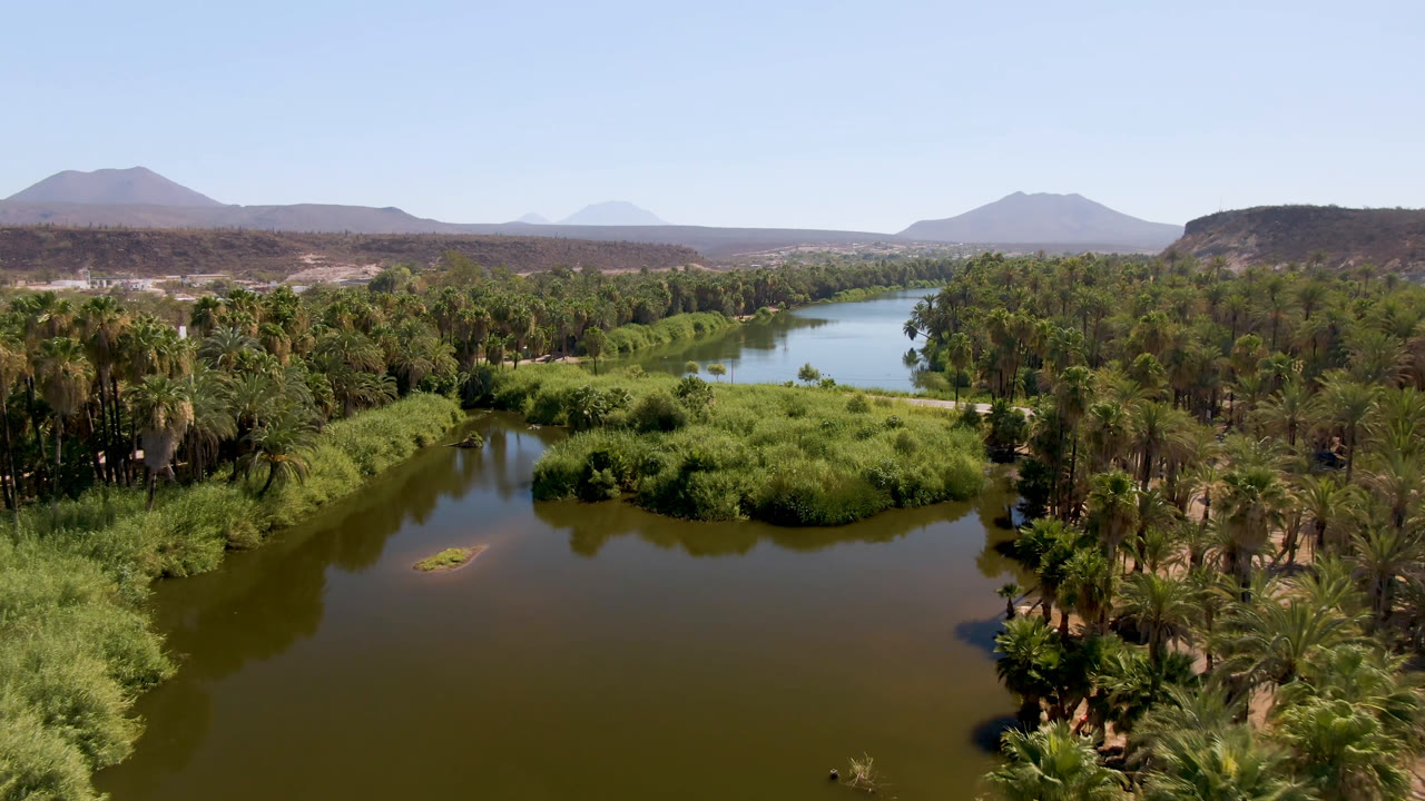 Aerial view over San Ignacio, Baja California Sur, with a green-brown river in the foreground, dense palms on both banks, distant mountains, and no visible people.