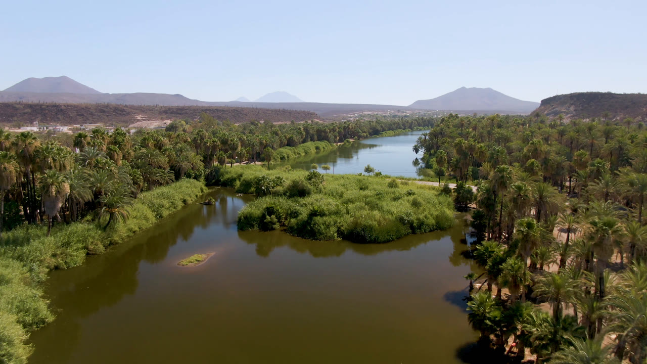 Wide aerial frame in San Ignacio, Baja California Sur, showing calm river water around grassy banks, a thick palm grove, low desert mesas, distant mountains, and no visible people.