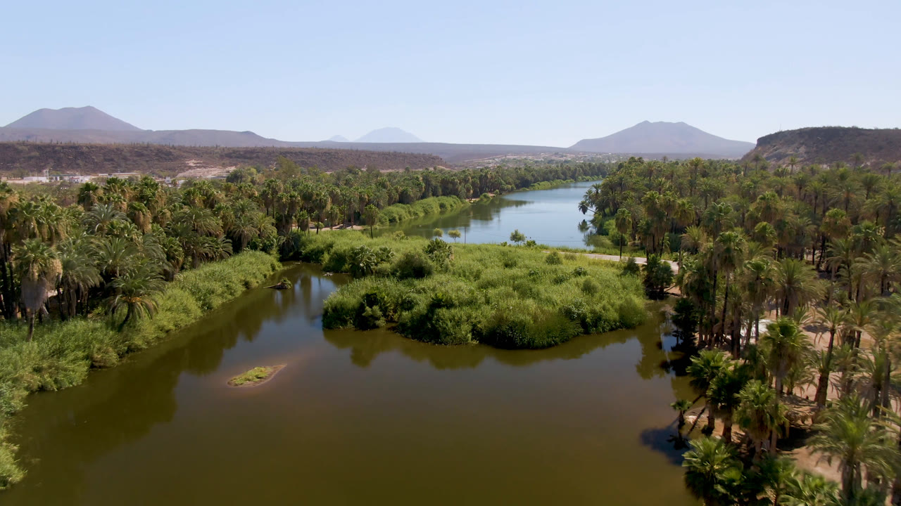River foreground with palms and reeds leading toward mountains under a clear sky.
