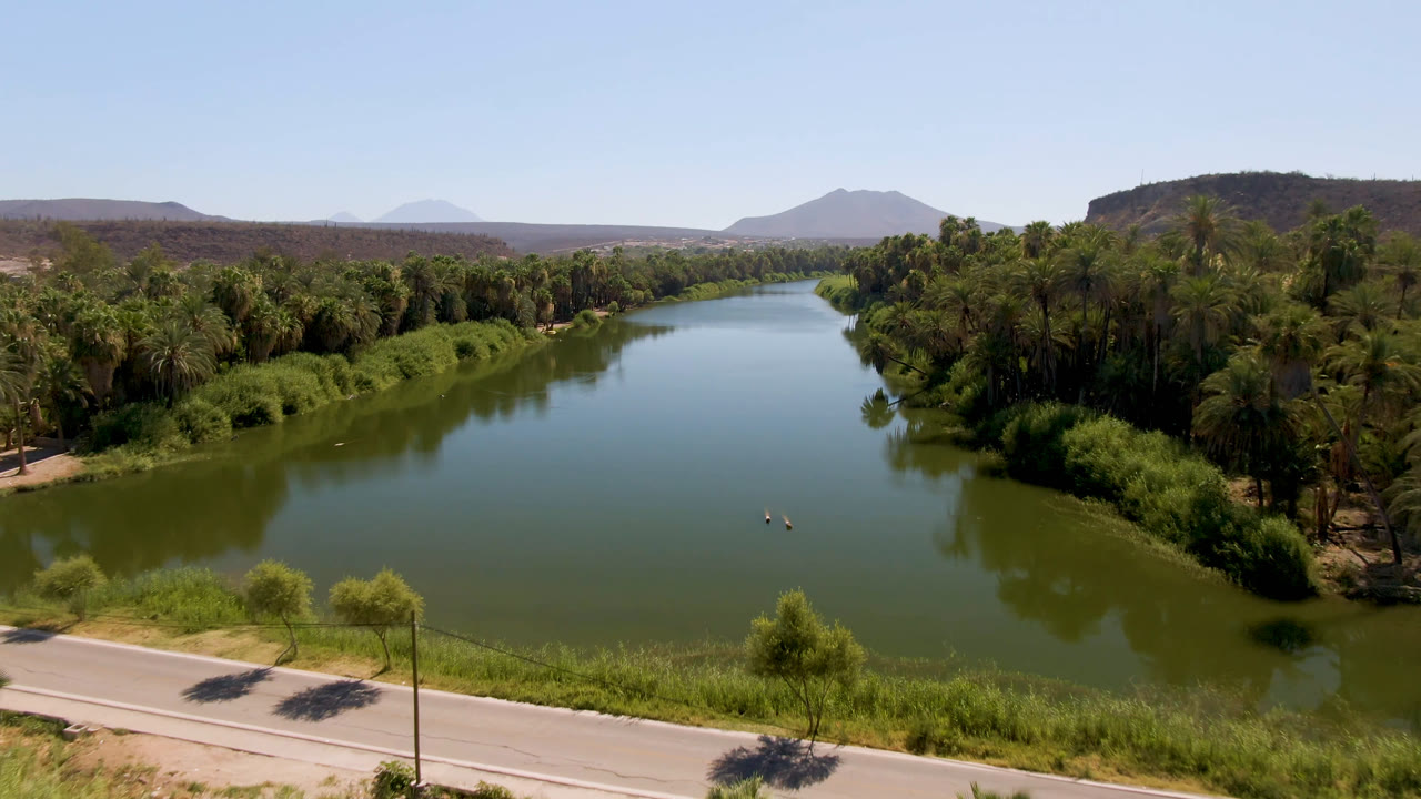 Elevated view over San Ignacio with the river widening between dense palms and reeds, a road crossing the lower foreground, hazy desert hills in back, and no clearly visible people.
