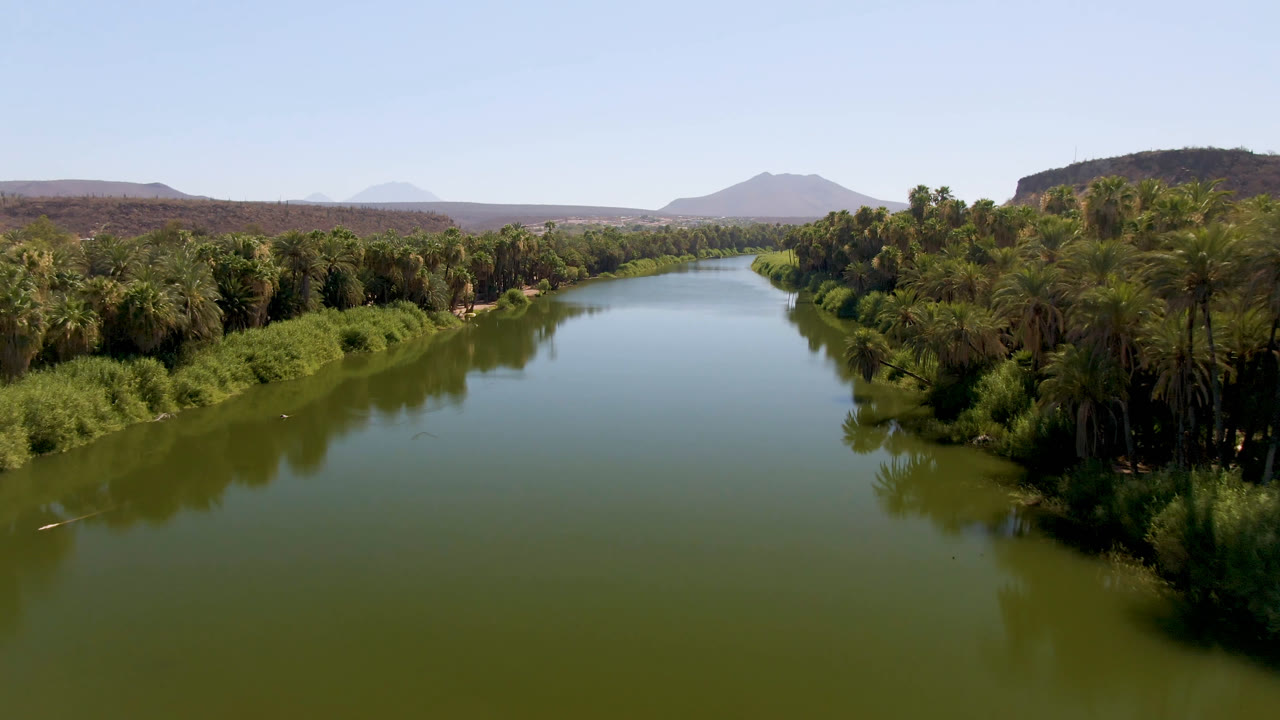Aerial view in San Ignacio showing the river narrowing toward the distance, with thick palm trees at right, reeds along the banks, and no visible people.