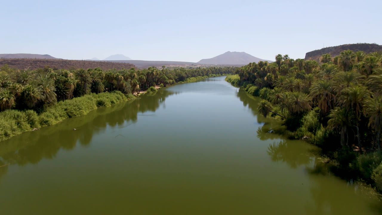 Wide river and palm grove under a clear blue sky.